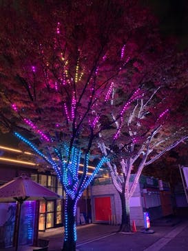 東京メガイルミに投稿された画像（2020/11/8）