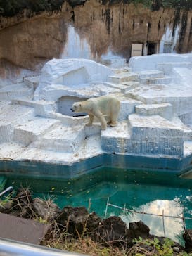 天王寺動物園に投稿された画像（2020/11/8）