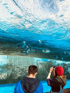 サンシャイン水族館に投稿された画像（2020/11/8）