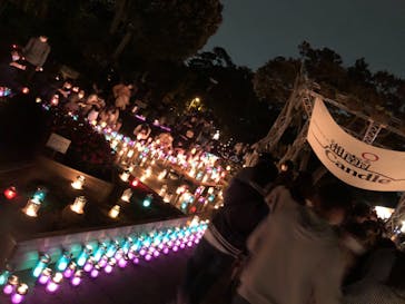 江の島シーキャンドルに投稿された画像（2020/11/8）