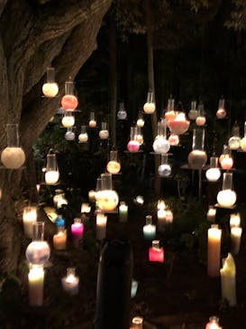 江の島シーキャンドルに投稿された画像（2020/11/8）