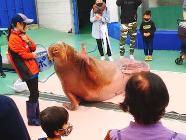 ゼロ距離水族館 伊勢シーパラダイスに投稿された画像（2020/11/8）