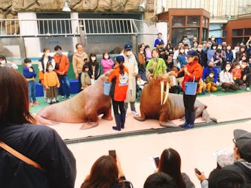 ゼロ距離水族館 伊勢シーパラダイスに投稿された画像（2020/11/8）