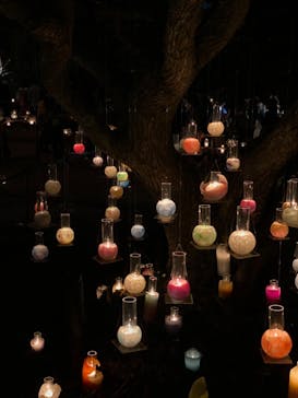 江の島シーキャンドルに投稿された画像（2020/11/8）