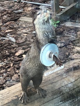 横浜・八景島シーパラダイスに投稿された画像（2020/11/8）