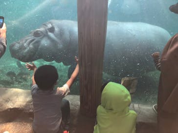 天王寺動物園に投稿された画像（2020/11/8）