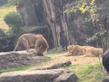 天王寺動物園に投稿された画像（2020/11/8）