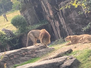 天王寺動物園に投稿された画像（2020/11/8）