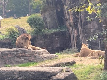天王寺動物園に投稿された画像（2020/11/8）
