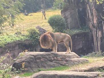 天王寺動物園に投稿された画像（2020/11/8）