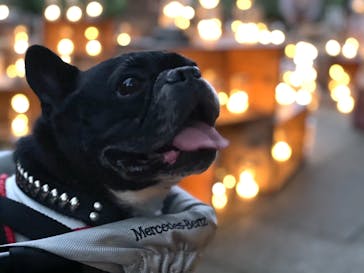 江の島シーキャンドルに投稿された画像（2020/11/8）