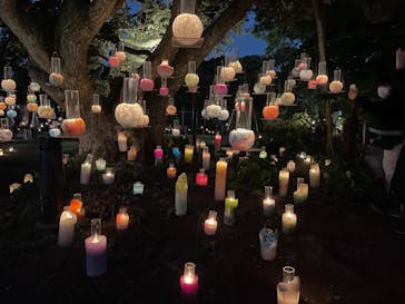 江の島シーキャンドルに投稿された画像（2020/11/8）