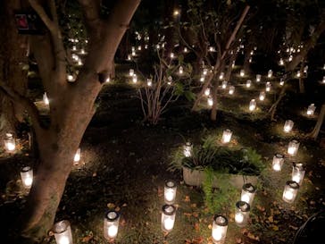 江の島シーキャンドルに投稿された画像（2020/11/8）