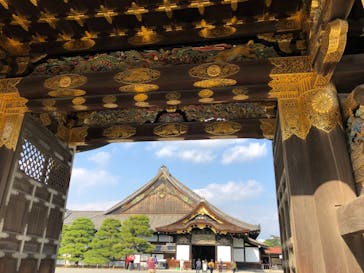 元離宮二条城に投稿された画像（2020/11/8）