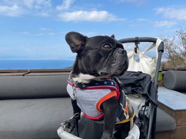 伊豆パノラマパークに投稿された画像（2020/11/8）