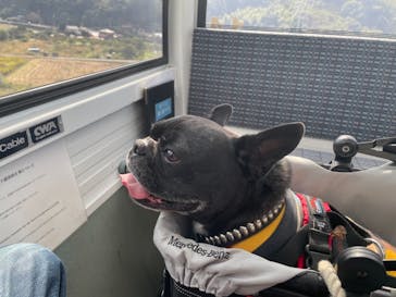 伊豆パノラマパークに投稿された画像（2020/11/8）