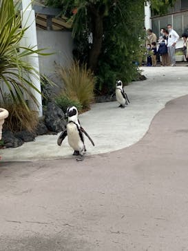 横浜・八景島シーパラダイスに投稿された画像（2020/11/8）