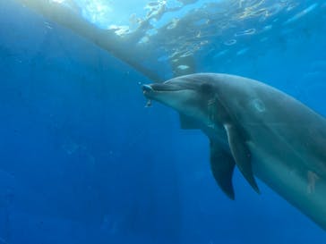 横浜・八景島シーパラダイスに投稿された画像（2020/11/8）