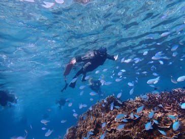 宮古島 ADVENTURE PiPi（ミヤコジマ アドベンチャー ピピ）に投稿された画像（2020/11/8）