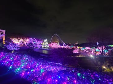 よみうりランド 遊園地に投稿された画像（2020/11/8）