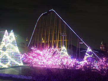 よみうりランド 遊園地に投稿された画像（2020/11/8）