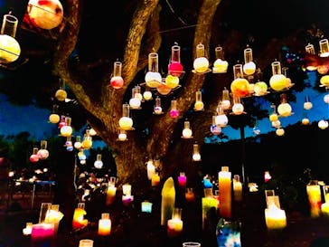 江の島シーキャンドルに投稿された画像（2020/11/8）