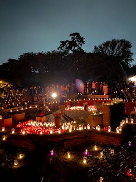 江の島シーキャンドルに投稿された画像（2020/11/8）