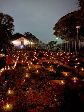 江の島シーキャンドルに投稿された画像（2020/11/8）