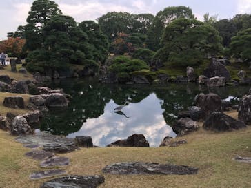 元離宮二条城に投稿された画像（2020/11/8）