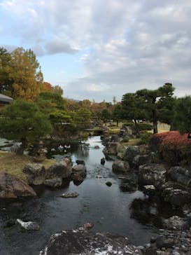 元離宮二条城に投稿された画像（2020/11/8）