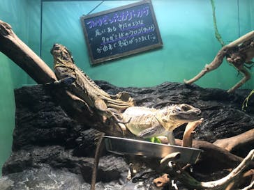 サンシャイン水族館に投稿された画像（2020/11/8）