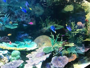 サンシャイン水族館に投稿された画像（2020/11/8）