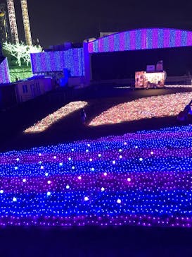 よみうりランド 遊園地に投稿された画像（2020/11/8）