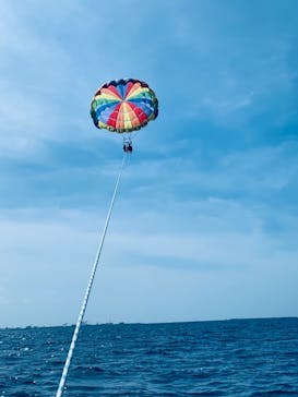 CoCoMarin（ココマリン）に投稿された画像（2020/11/8）