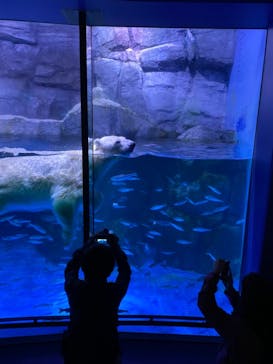 横浜・八景島シーパラダイスに投稿された画像（2020/11/8）