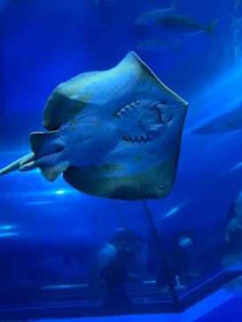 横浜・八景島シーパラダイスに投稿された画像（2020/11/8）