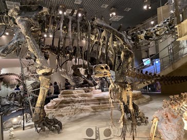 国立科学博物館に投稿された画像（2020/11/8）