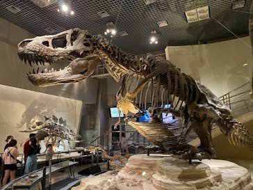 国立科学博物館に投稿された画像（2020/11/8）