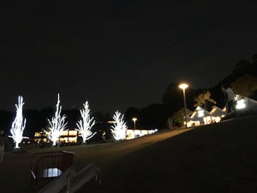 PANZA宮沢湖（パンザミヤザワコ）に投稿された画像（2020/11/8）