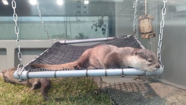 サンシャイン水族館に投稿された画像（2020/11/8）