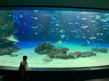サンシャイン水族館に投稿された画像（2020/11/9）