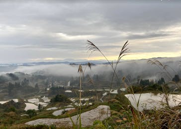 HOME HOME NIIGATA（ホームホームニイガタ）に投稿された画像（2020/11/9）