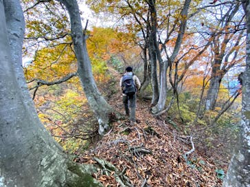 HOME HOME NIIGATA（ホームホームニイガタ）に投稿された画像（2020/11/9）