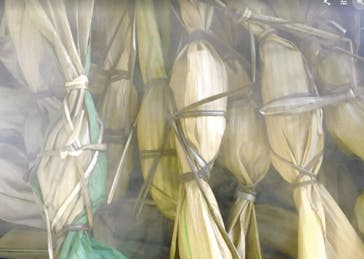 HOME HOME NIIGATA（ホームホームニイガタ）に投稿された画像（2020/11/9）