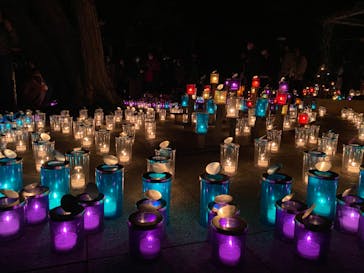 江の島シーキャンドルに投稿された画像（2020/11/9）