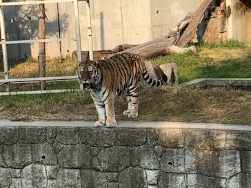 天王寺動物園に投稿された画像（2020/11/9）