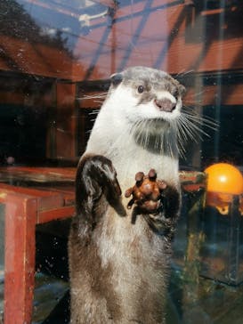 ゼロ距離水族館 伊勢シーパラダイスに投稿された画像（2020/11/9）