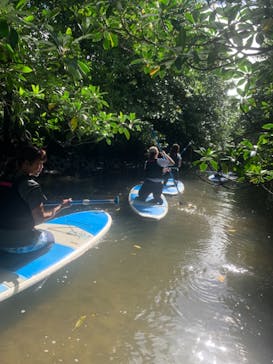 西表島 ADVENTURE PiPi（アドベンチャーピピ）に投稿された画像（2020/11/9）