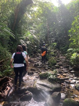 西表島 ADVENTURE PiPi（アドベンチャーピピ）に投稿された画像（2020/11/9）