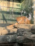 天王寺動物園に投稿された画像（2020/11/9）
